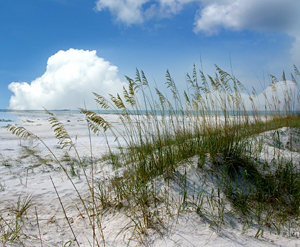 Sandy beach with sea oats under a blue sky and scattered clouds.